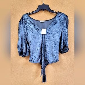 Free people crushed velvet blouse